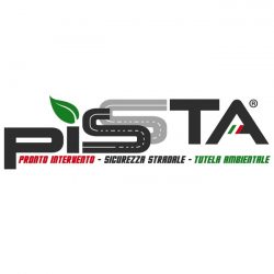 Logo Pissta Group Srl
