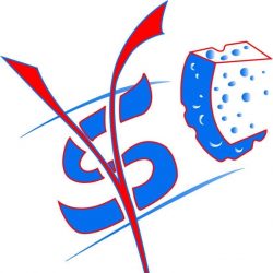 Logo Veneta Servizi