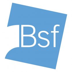 Logo B.S.F. Srl