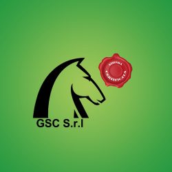Logo GSC S.r.l.