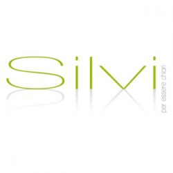 Logo Silvi S.r.l.