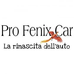 Logo Profenixcar
