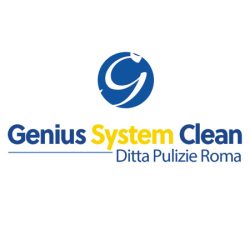 Logo Genius System Clean